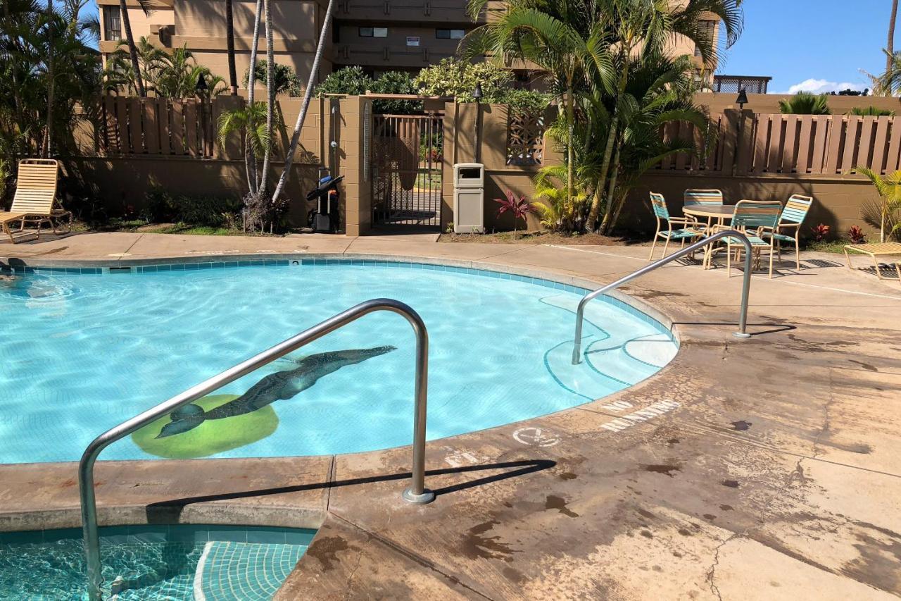 Maui Kai 507 Hotel Napili-Honokowai Eksteriør billede